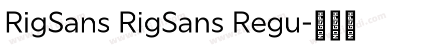 RigSans RigSans Regu字体转换 RigSans RigSans Regu字体转换
